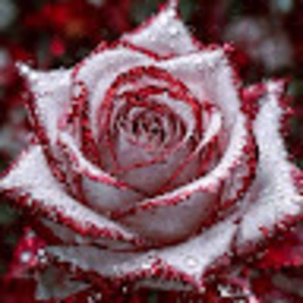 Meet your Posher, Merissa